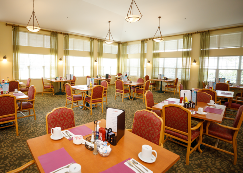 Large restaurant-style dining